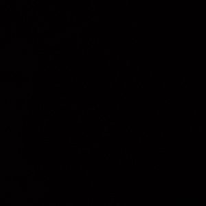 Meet your Posher, Janete